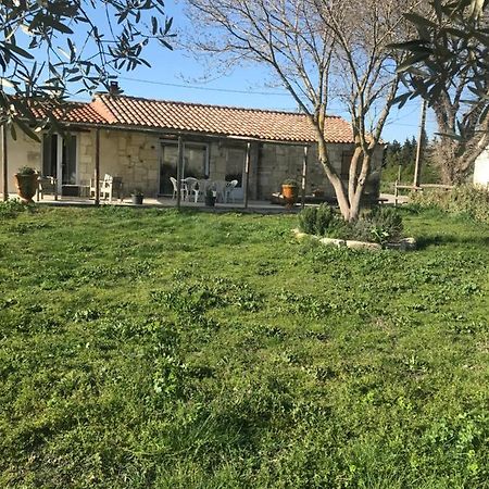 Mazet En Camargue Villa Arles Kültér fotó